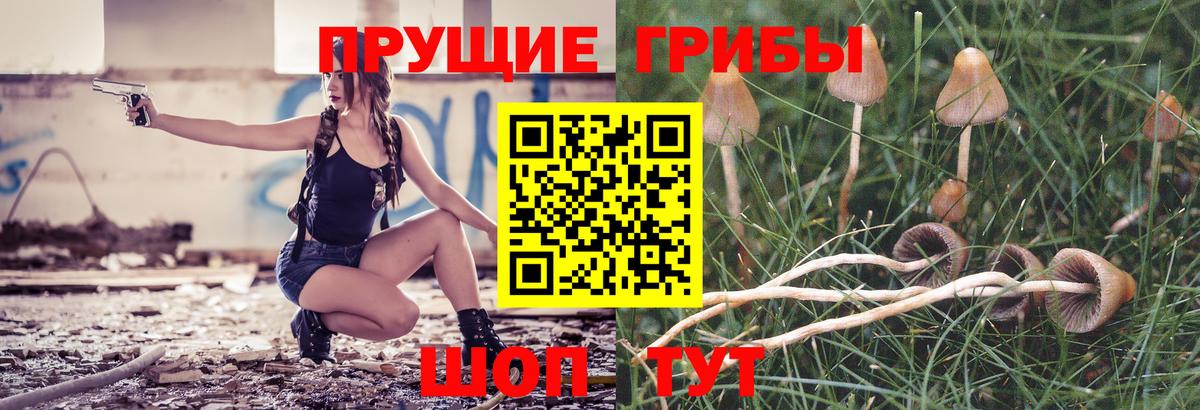 Галлюциногенные грибы мухоморы  Псилоцибиновые грибы ЛСД  Вход с VPN  Мичуринск 