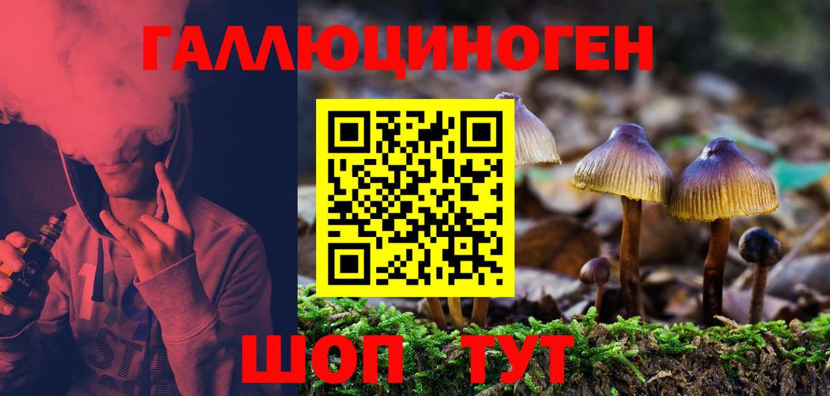 Псилоцибиновые грибы Psilocybe Мичуринск